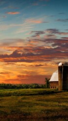 Farm sunset